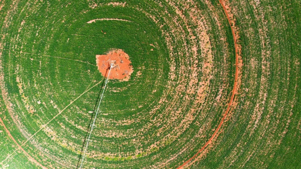 circular bioeconomy